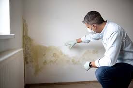 Best Commercial Mold Inspection  in Donora, PA